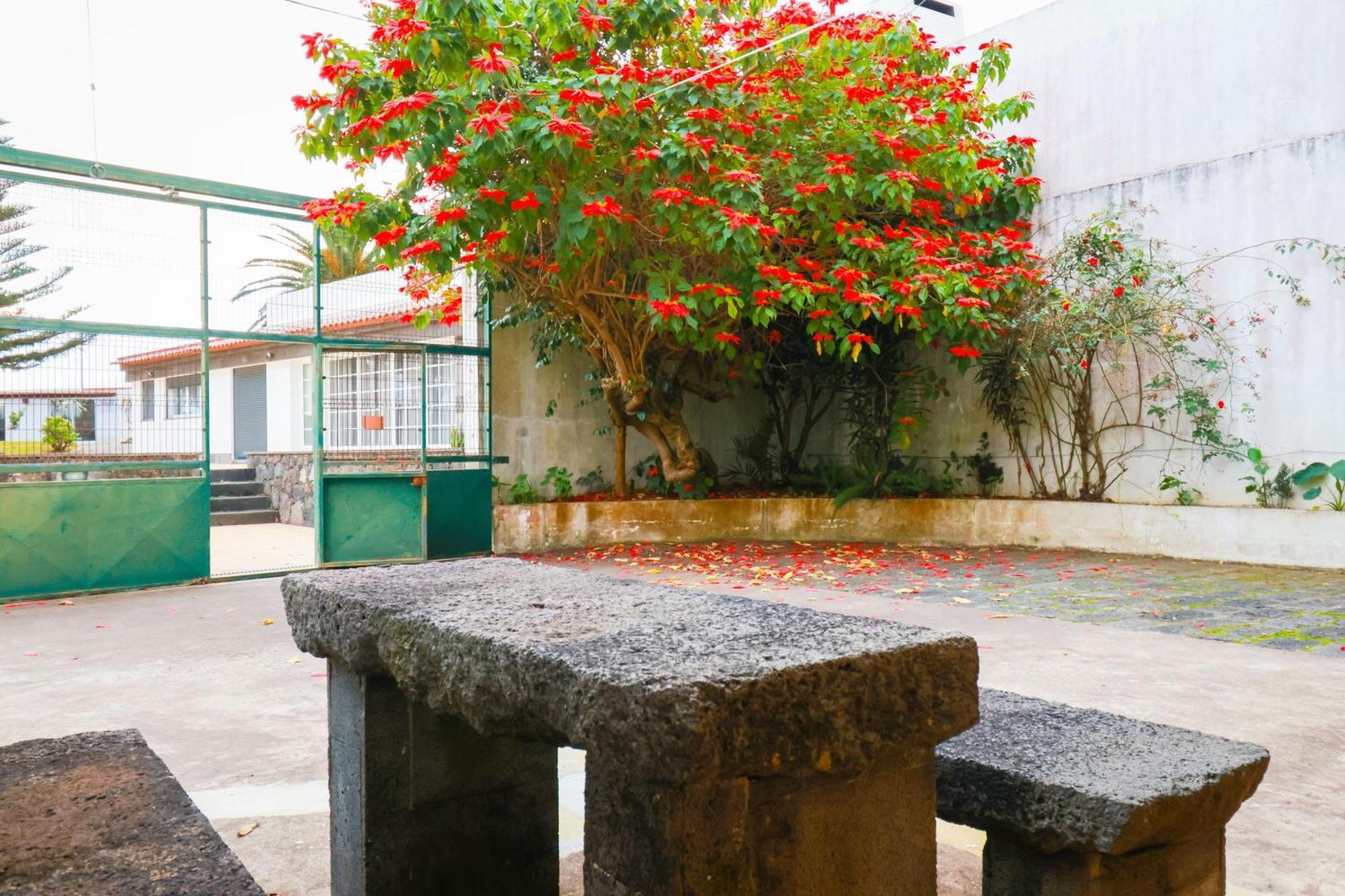 Casa Barão das Laranjeiras Ponta Delgada  Bagian luar foto