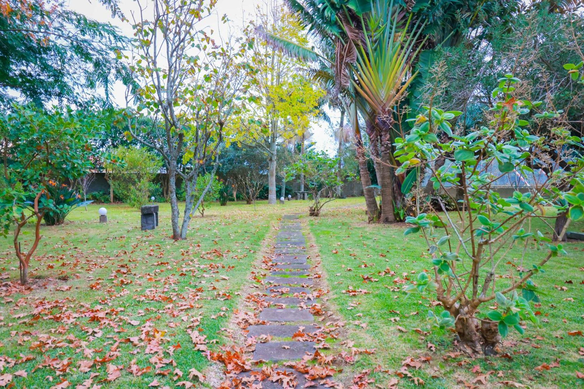 Casa Barão das Laranjeiras Ponta Delgada  Bagian luar foto